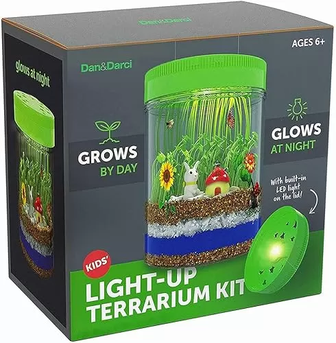 Kids’ Light-Up Terrarium Kit